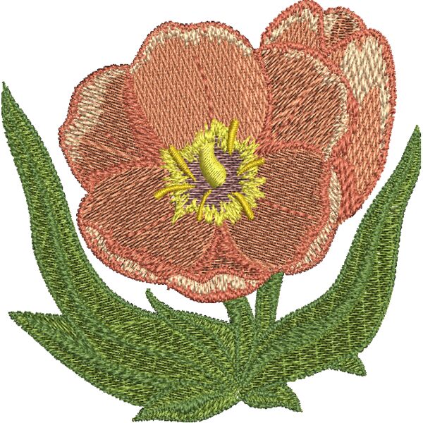 FP315 Miniaturansicht