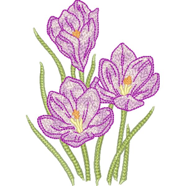 FM646 Miniaturansicht