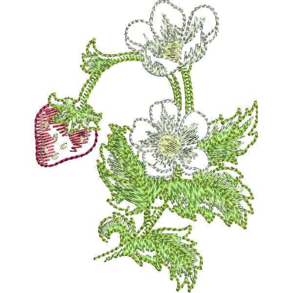 FQ240 48 Miniaturansicht