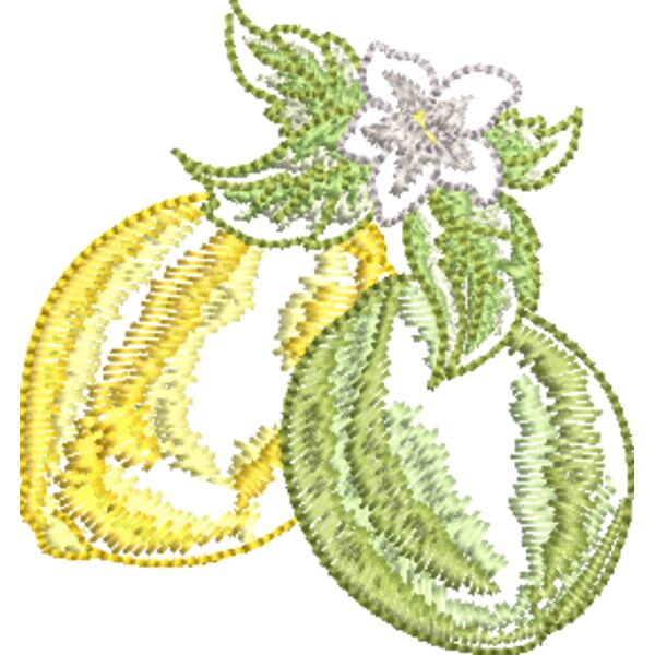 FQ234 48 Miniaturansicht