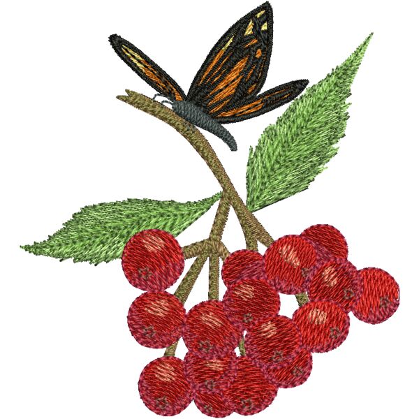 NA303 Miniaturansicht