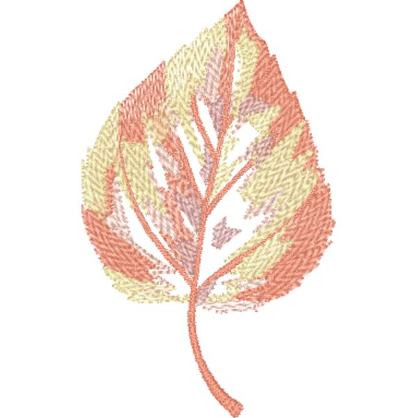 FP050 Miniaturansicht