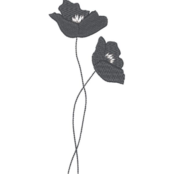 FQ301 48 Miniaturansicht