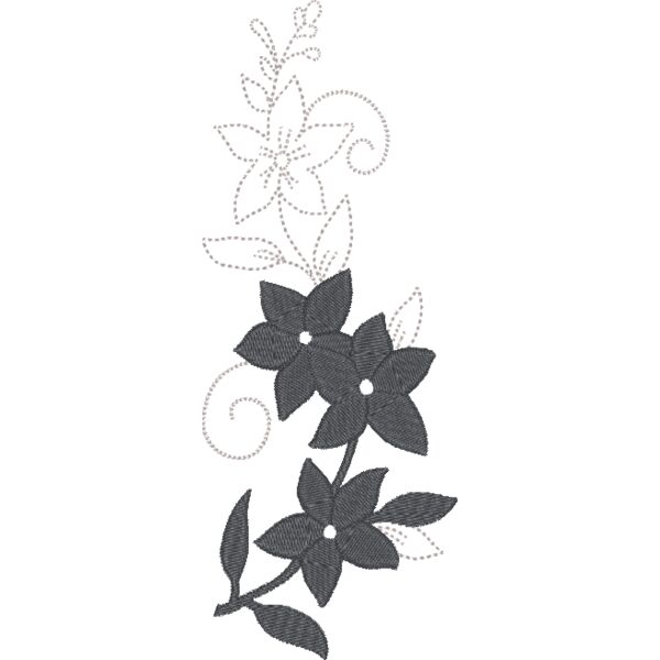 FQ290 48 Miniaturansicht